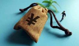 详尽指南：掌握查询花呗额度的正确方法